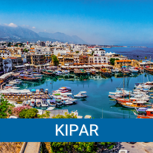 Kipar Leto